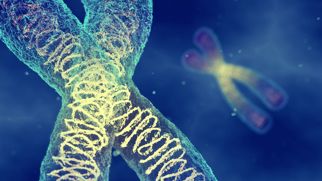 Going Viral: Understanding Lentiviral Vectors in Gene Therapy - Orchard
